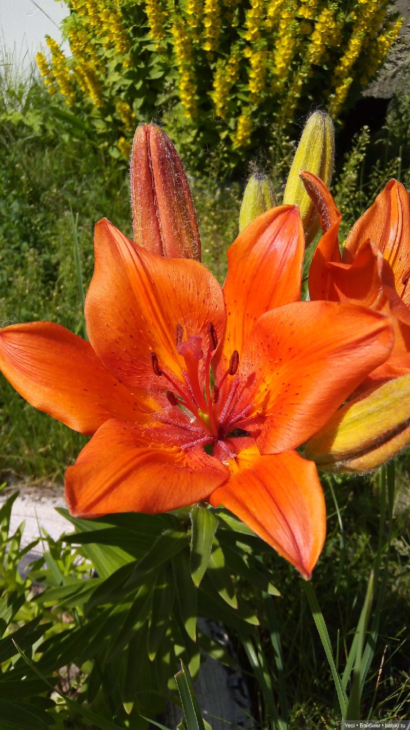 Как Хантер ЭАХ провел воскресенье, отдых (фото 3)