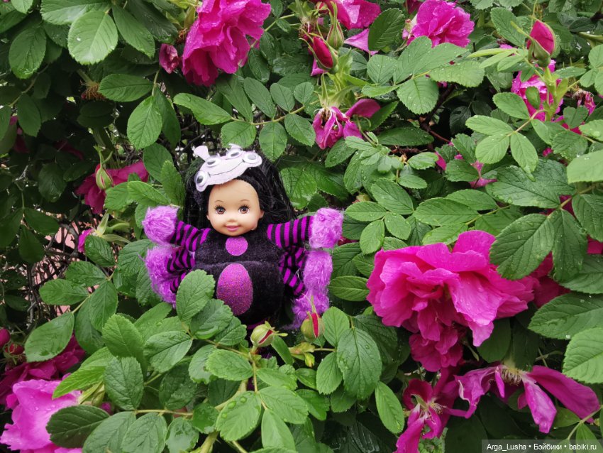 А ведь совсем не плохо, даже завидно! Мини... мини-ляльки