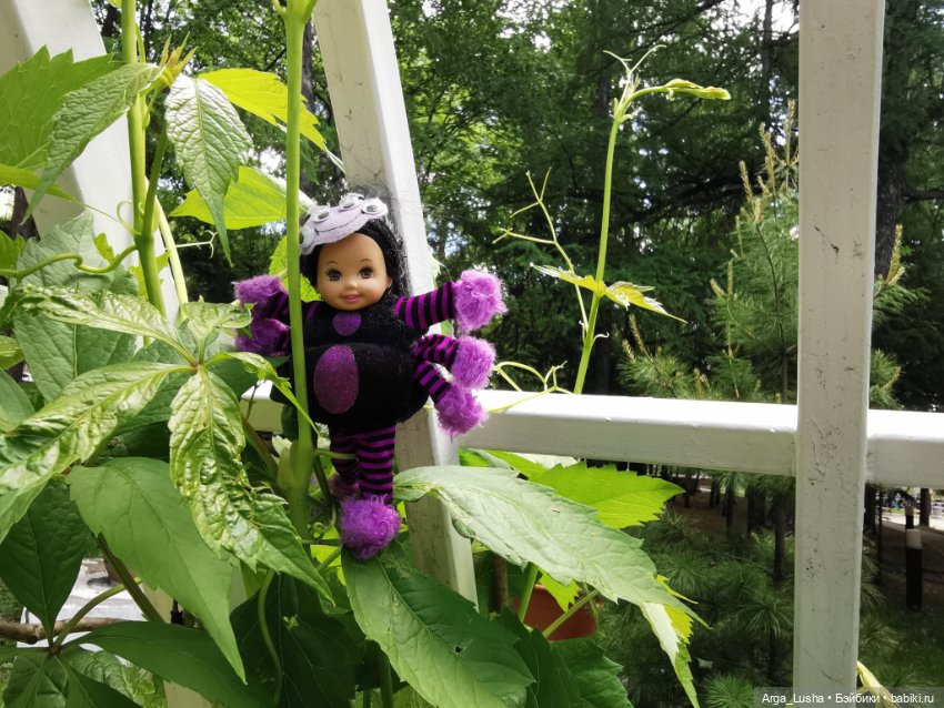 А ведь совсем не плохо, даже завидно! Мини... мини-ляльки