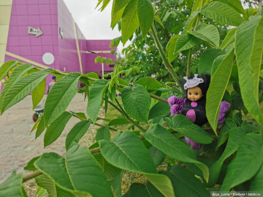 А ведь совсем не плохо, даже завидно! Мини... мини-ляльки