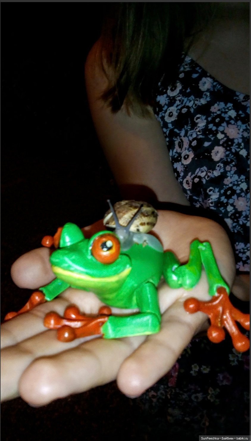 Красноглазая древесная лягушка или просто наш Деймикс (фото 5)