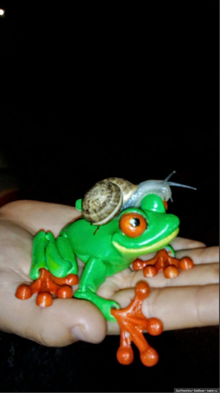 Красноглазая древесная лягушка или просто наш Деймикс (фото 3)