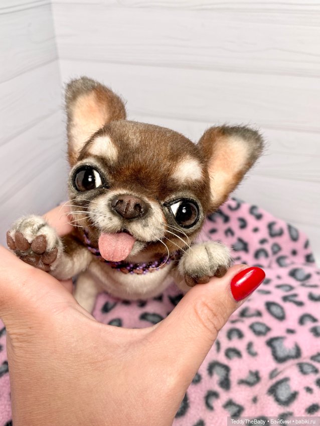 Тоффи 🐾🐾🐾🐶 — Реалистичные игрушки и звери (Натюр): собаки (фото 7)