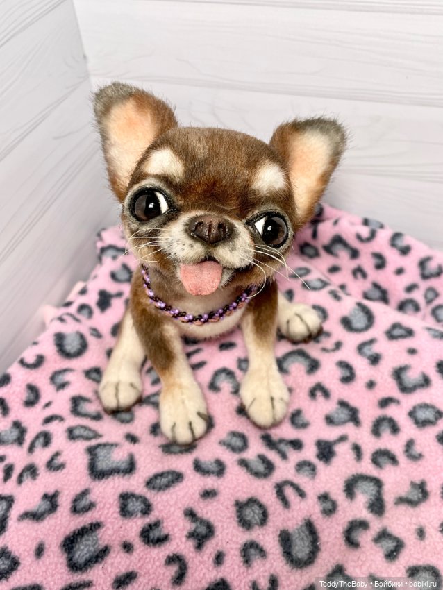 Тоффи 🐾🐾🐾🐶 — Реалистичные игрушки и звери (Натюр): собаки (фото 3)