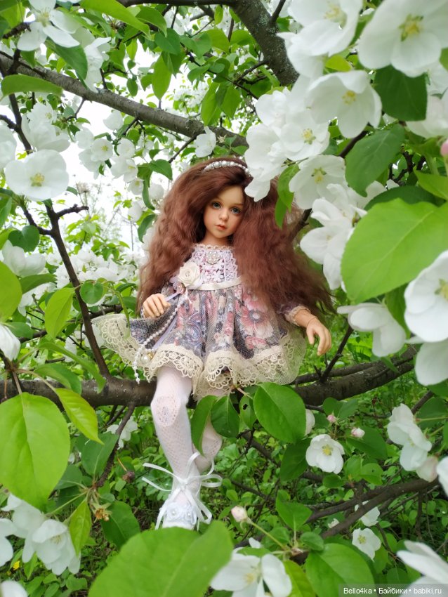 2 года без Розочки. Рана затягивается (фото 8)