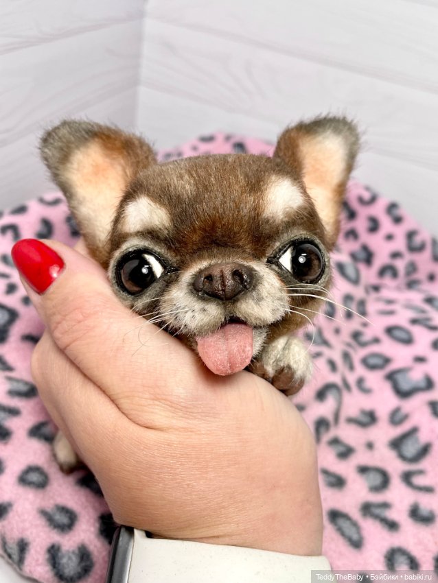 Тоффи 🐾🐾🐾🐶 — Реалистичные игрушки и звери (Натюр): собаки