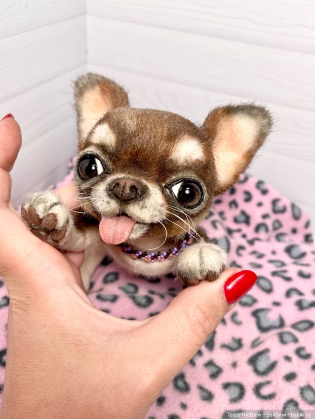 Тоффи 🐾🐾🐾🐶 — Реалистичные игрушки и звери (Натюр): собаки (фото 10)