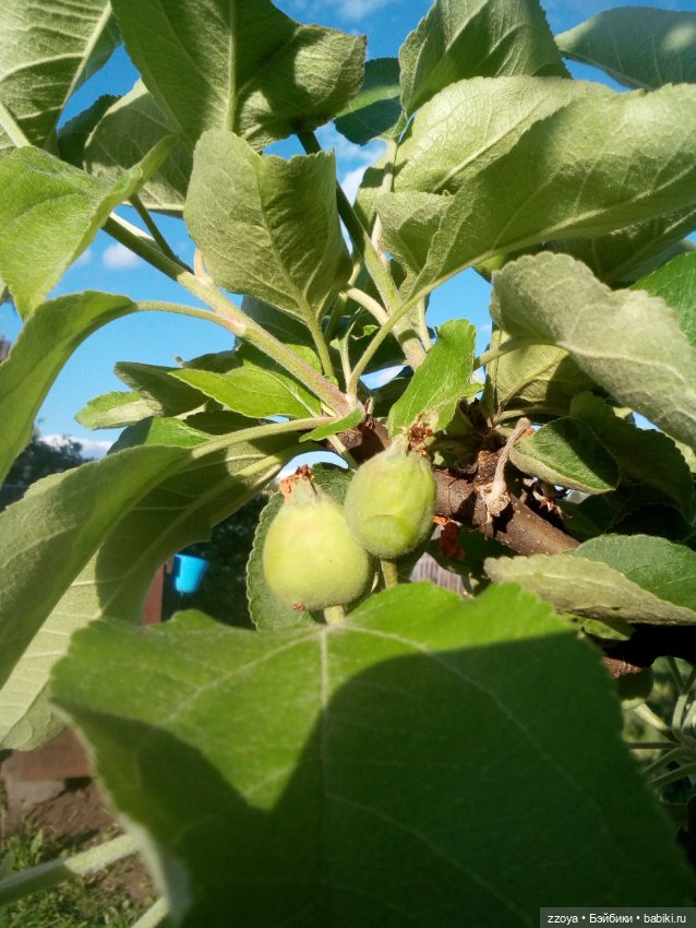 Гибриды шарнирных кукол (не БЖД): подбор тела