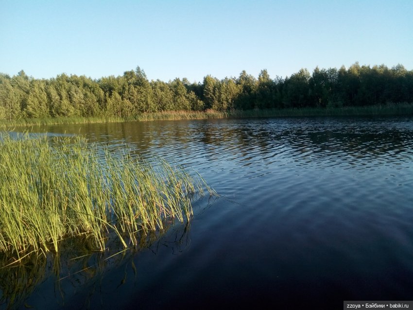 Гибриды шарнирных кукол (не БЖД): подбор тела