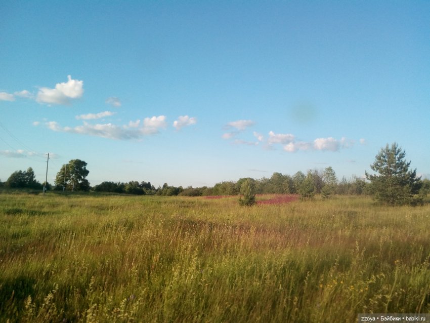 Гибриды шарнирных кукол (не БЖД): подбор тела