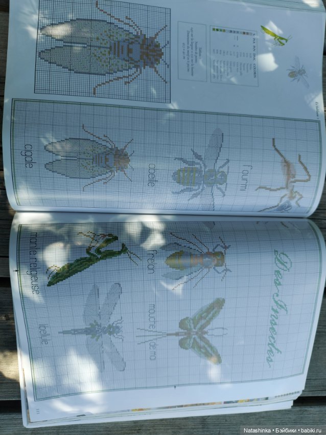 Fashion Dolls 390 — Туризм и путешествия: фотоотчеты из поездок