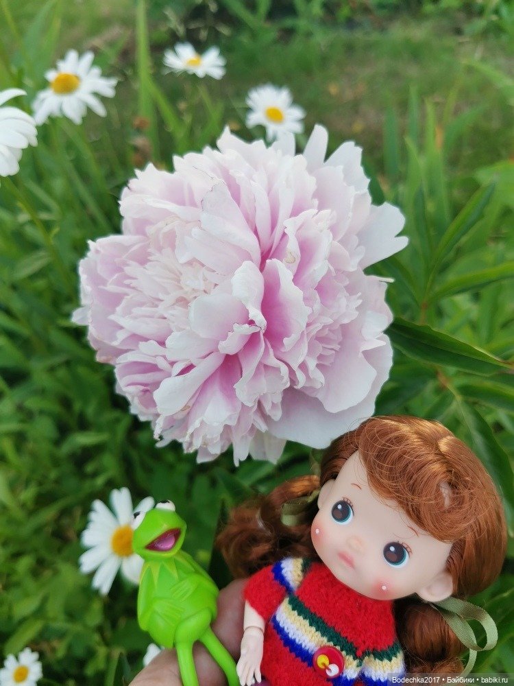 Пионовое настроение — Азиатские виниловые куклы (разное): Китай