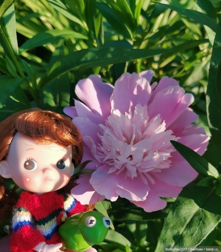 Пионовое настроение — Азиатские виниловые куклы (разное): Китай (фото 5)