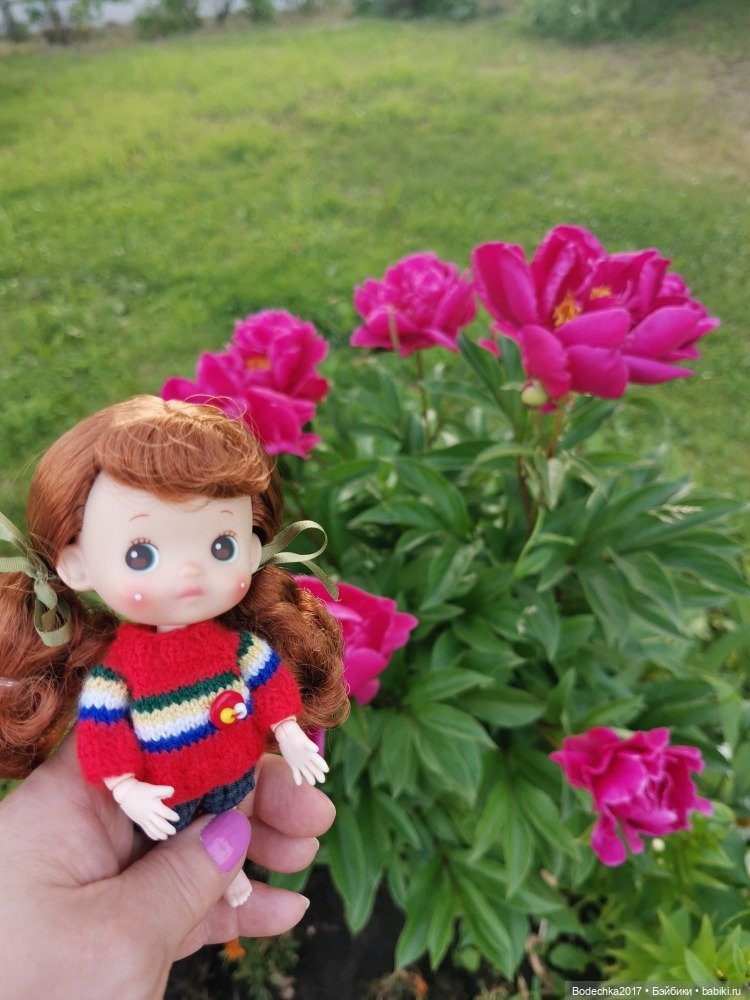 Пионовое настроение — Азиатские виниловые куклы (разное): Китай (фото 7)