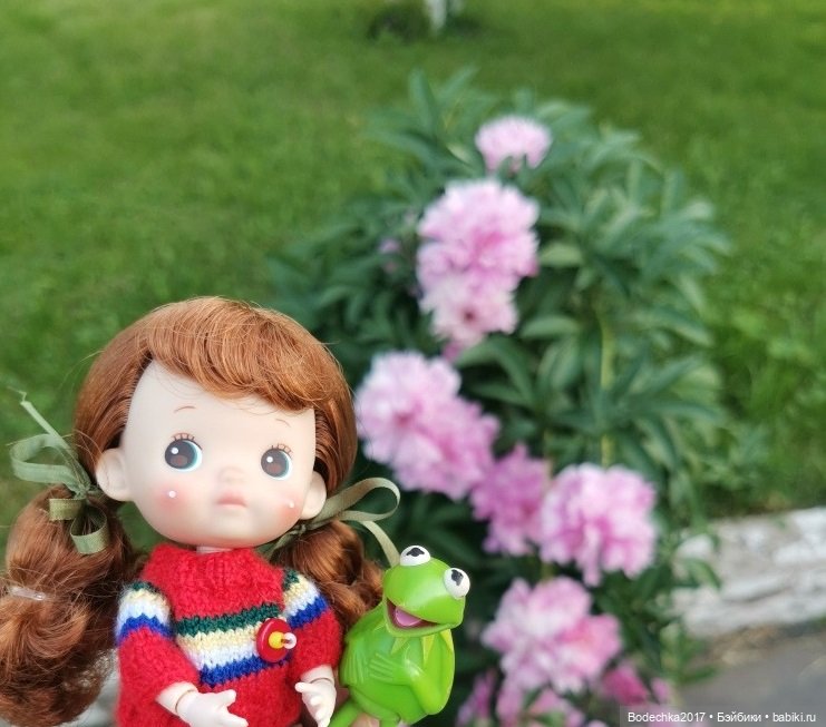 Пионовое настроение — Азиатские виниловые куклы (разное): Китай