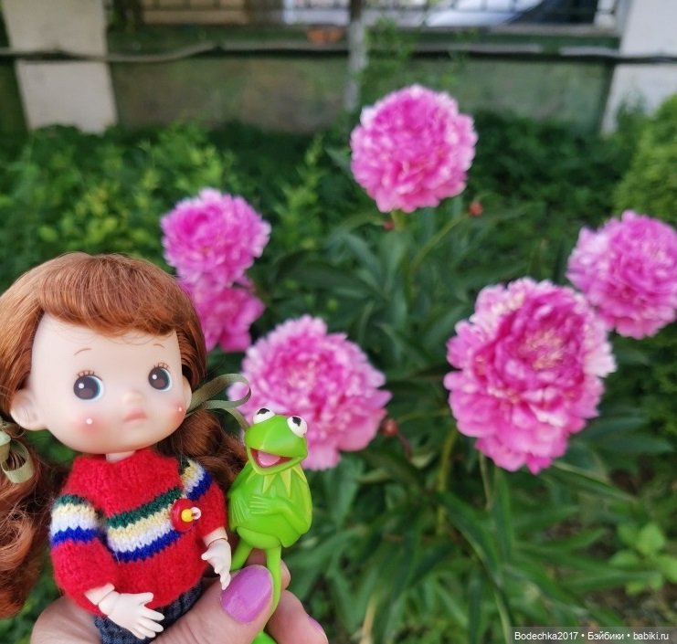 Пионовое настроение — Азиатские виниловые куклы (разное): Китай