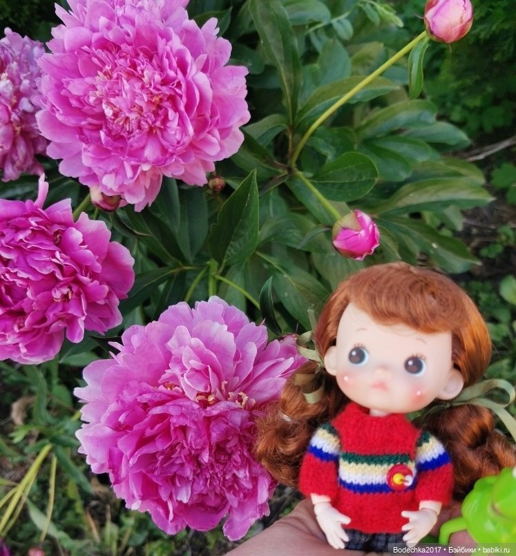 Пионовое настроение — Азиатские виниловые куклы (разное): Китай