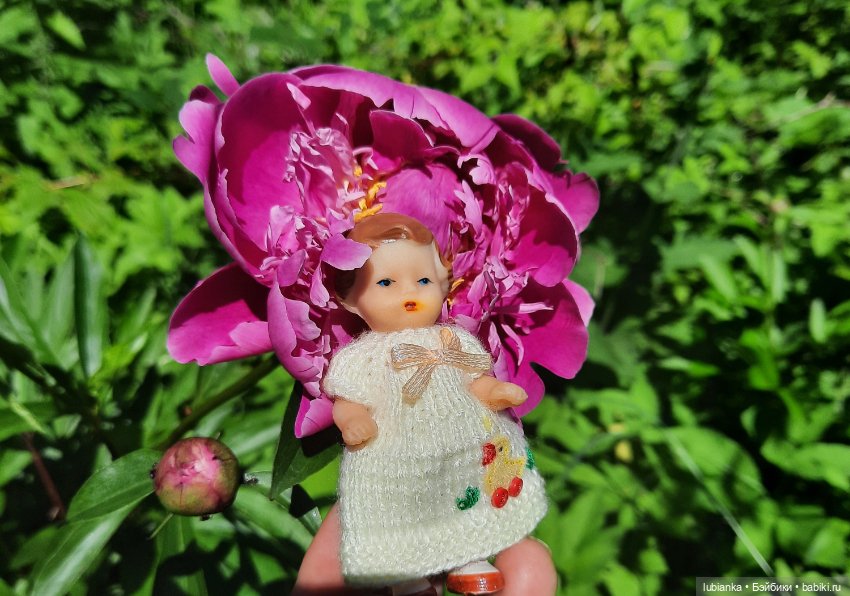 Новое платье и пионы — Винтажные куклы ГДР (Немки): Бигги