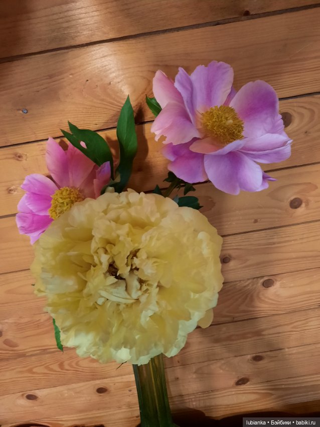 Новое платье и пионы — Винтажные куклы ГДР (Немки): Бигги (фото 4)