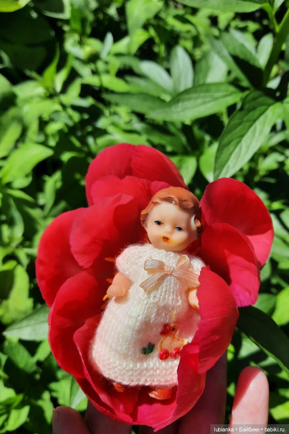 Новое платье и пионы — Винтажные куклы ГДР (Немки): Бигги