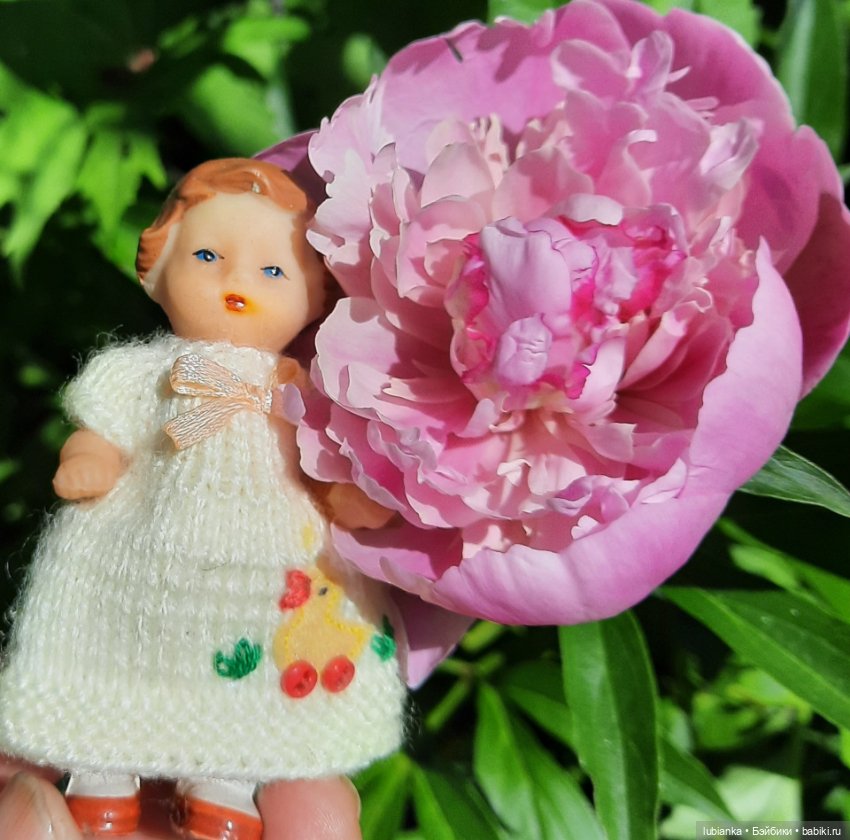 Новое платье и пионы — Винтажные куклы ГДР (Немки): Бигги