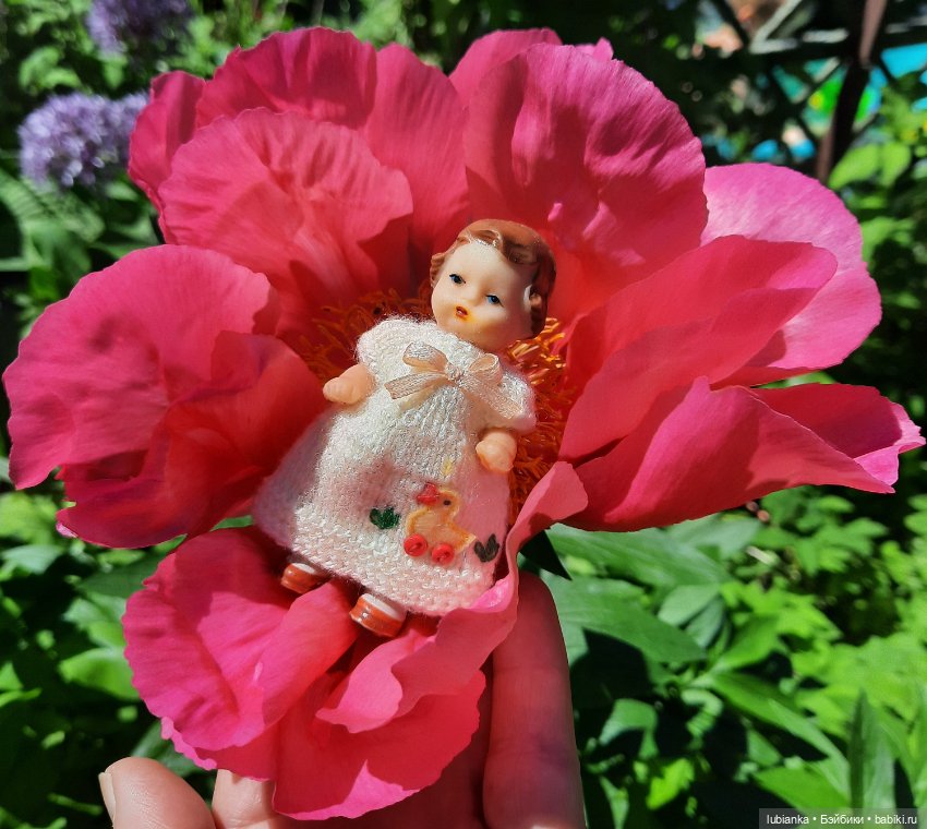 Новое платье и пионы — Винтажные куклы ГДР (Немки): Бигги (фото 10)