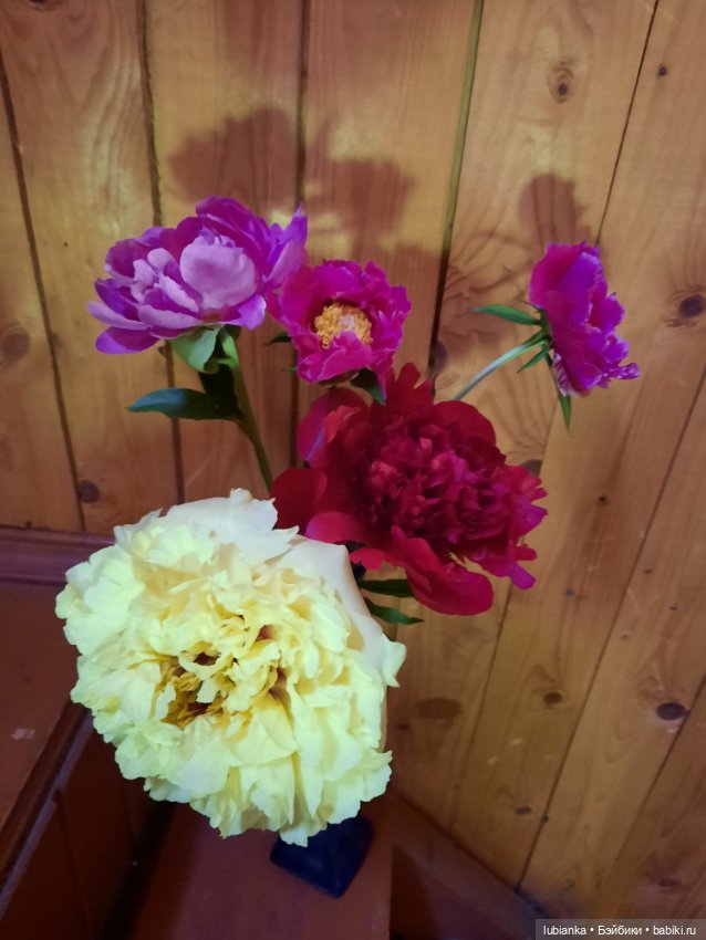 Новое платье и пионы — Винтажные куклы ГДР (Немки): Бигги (фото 3)