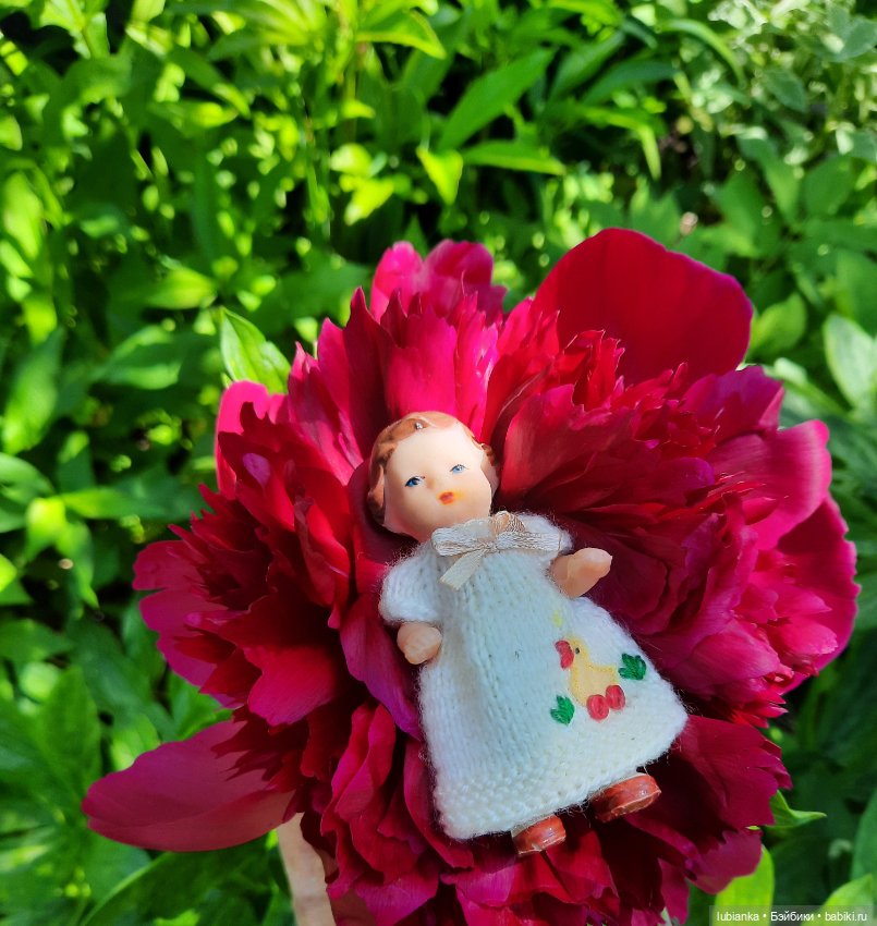 Новое платье и пионы — Винтажные куклы ГДР (Немки): Бигги (фото 8)