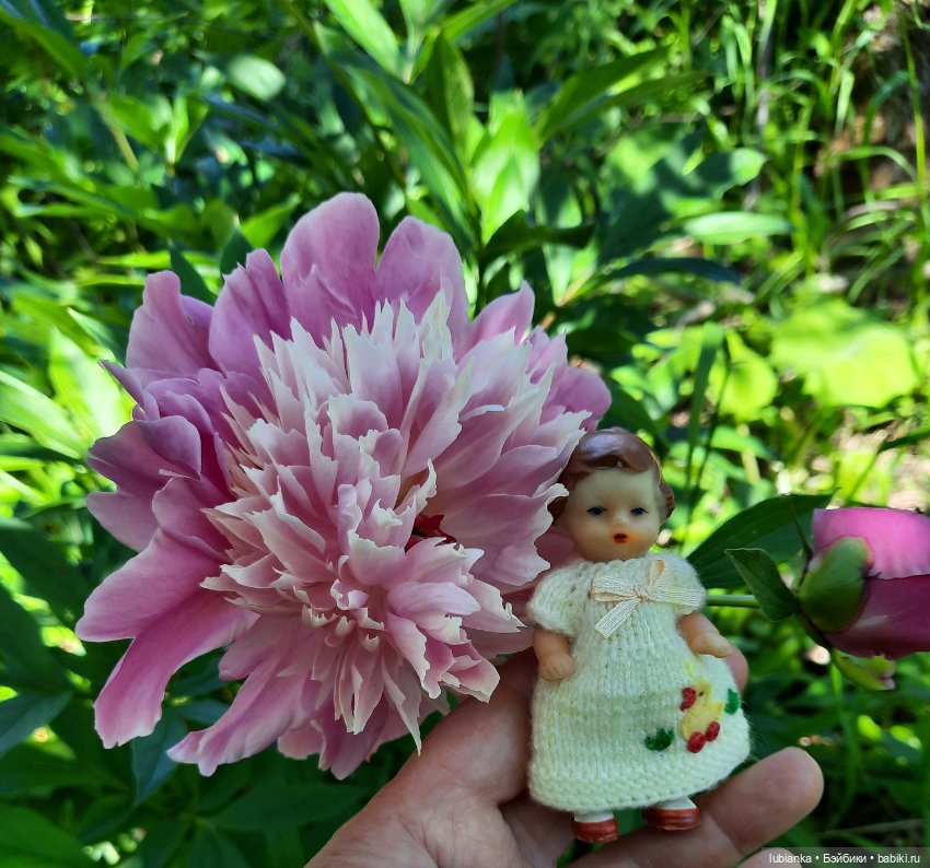 Новое платье и пионы — Винтажные куклы ГДР (Немки): Бигги