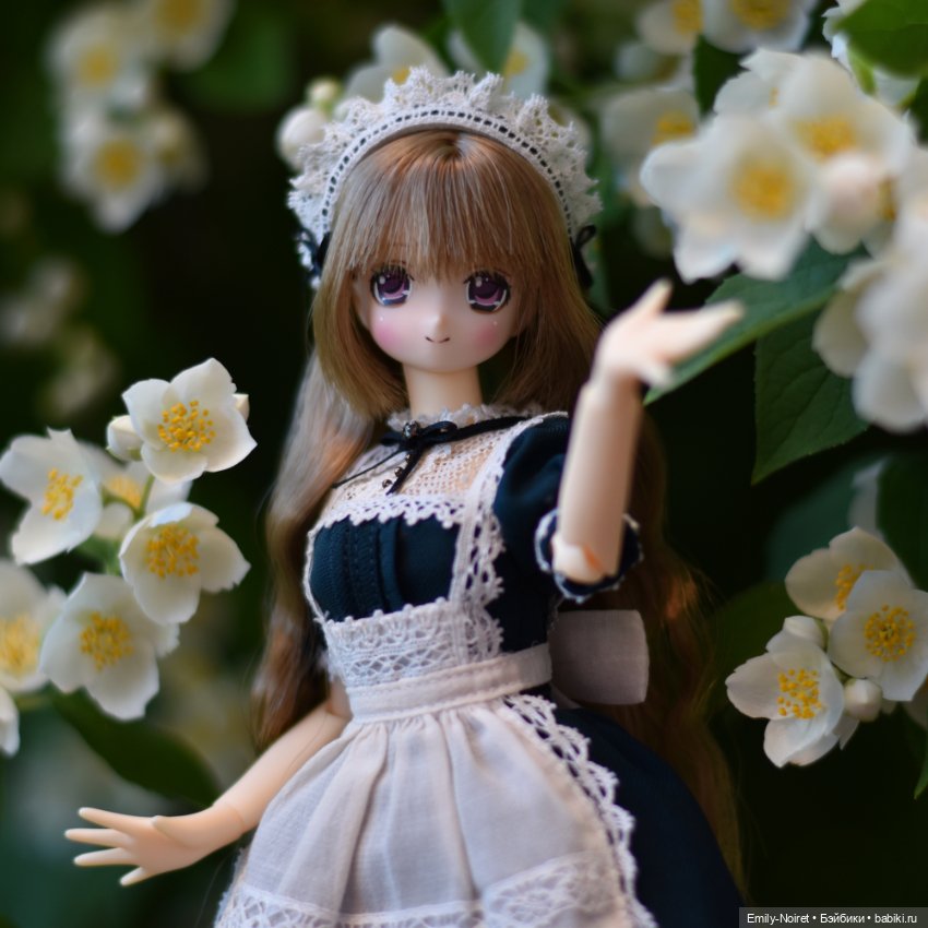 Снова жасмин — Куклы Azone (Азон) и тела Pure Neemo: фото (фото 3)
