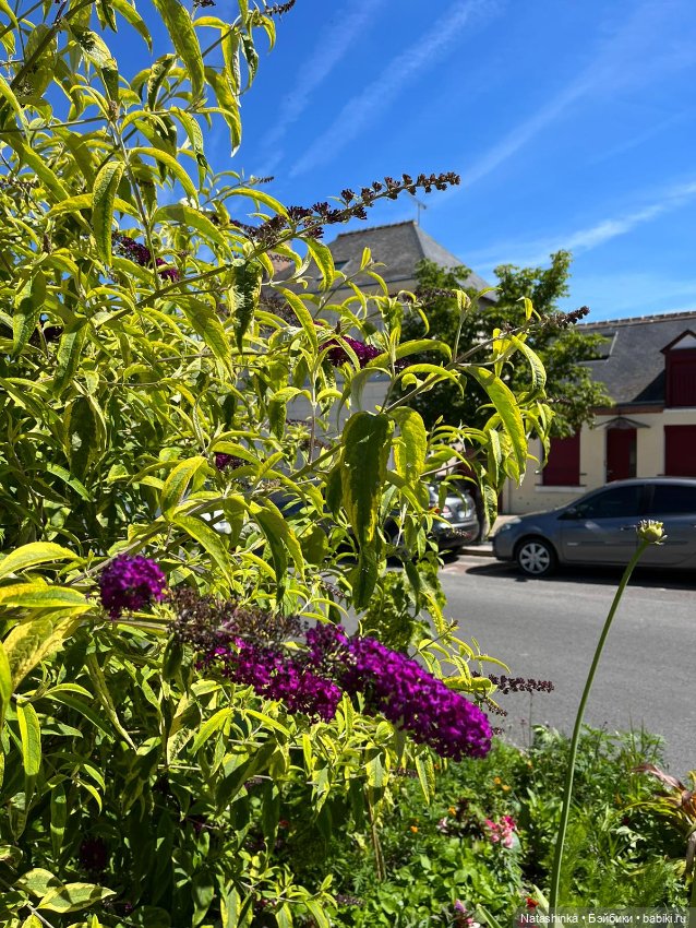 Fashion Dolls 392 — Туризм и путешествия: фотоотчеты из поездок (фото 5)