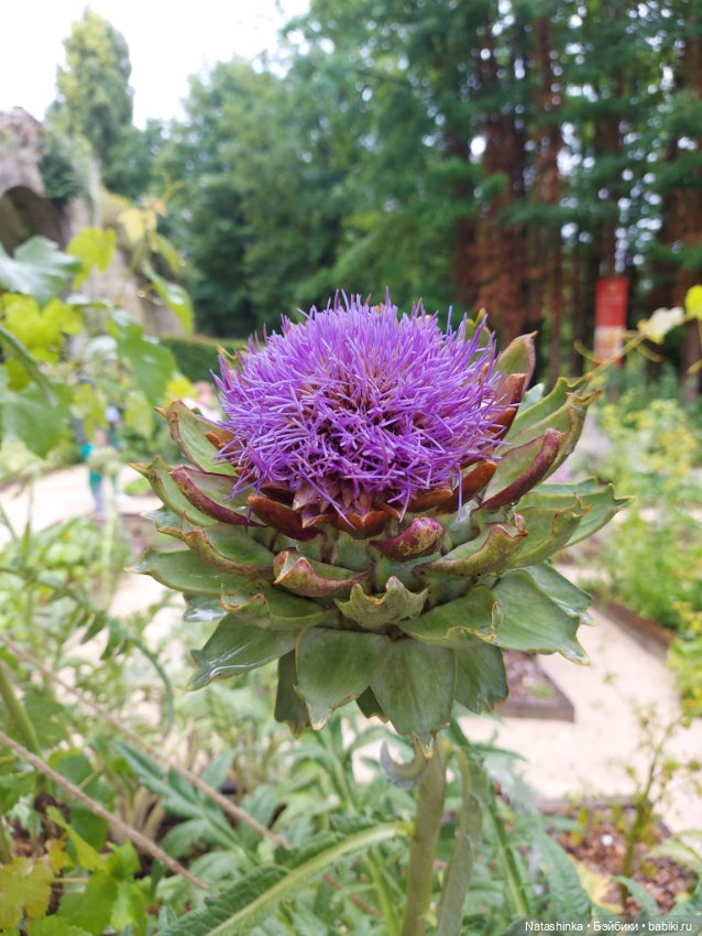 Fashion Dolls 392 — Туризм и путешествия: фотоотчеты из поездок