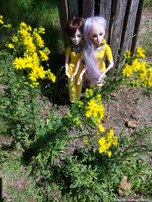 Fashion Dolls 392 — Туризм и путешествия: фотоотчеты из поездок