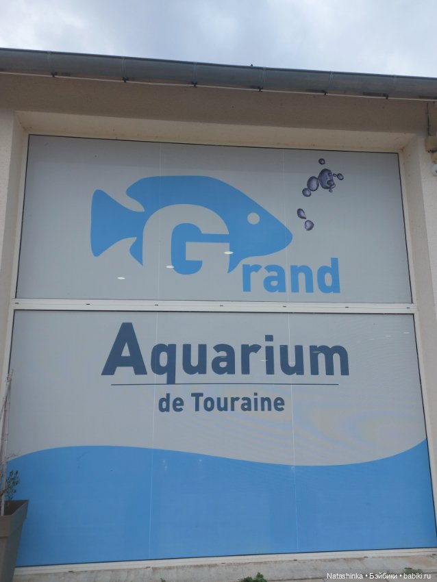 Fashion Dolls 392 — Туризм и путешествия: фотоотчеты из поездок