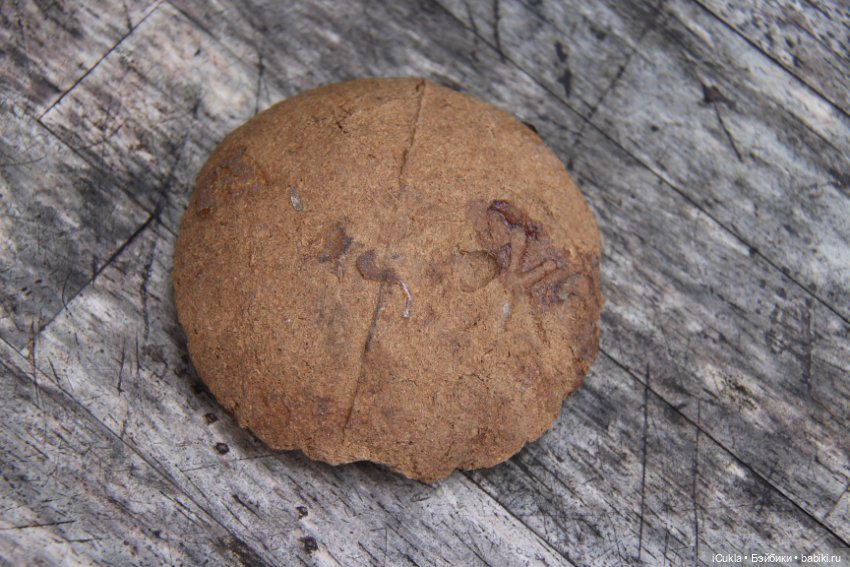 Моя первая Жюмо,девочка из Франции 24" DEP 11 (фото 8)