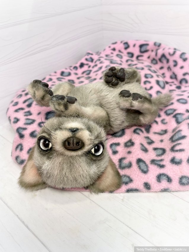 Рик 🐶🐾 — Реалистичные игрушки и звери (Натюр): собаки (фото 10)