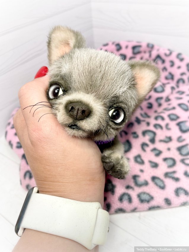 Рик 🐶🐾 — Реалистичные игрушки и звери (Натюр): собаки (фото 2)