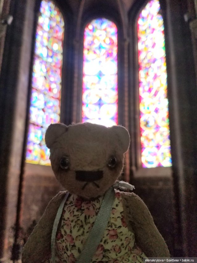 Тедди-путешественники: без билетов, без капризов