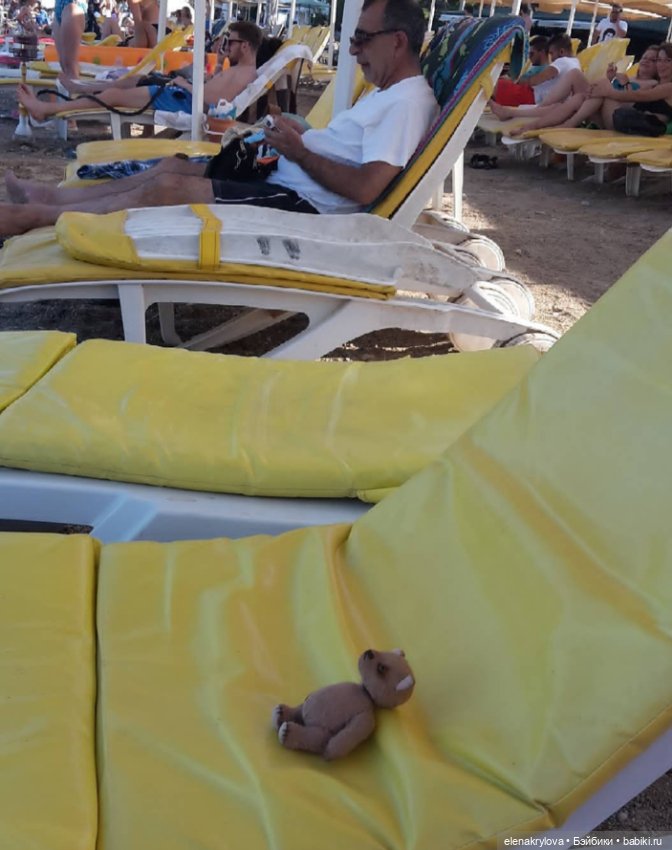 Тедди-путешественники: без билетов, без капризов (фото 4)