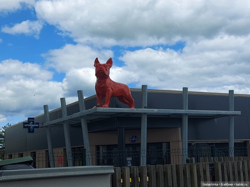 Fashion Dolls 393 — Туризм и путешествия: фотоотчеты из поездок