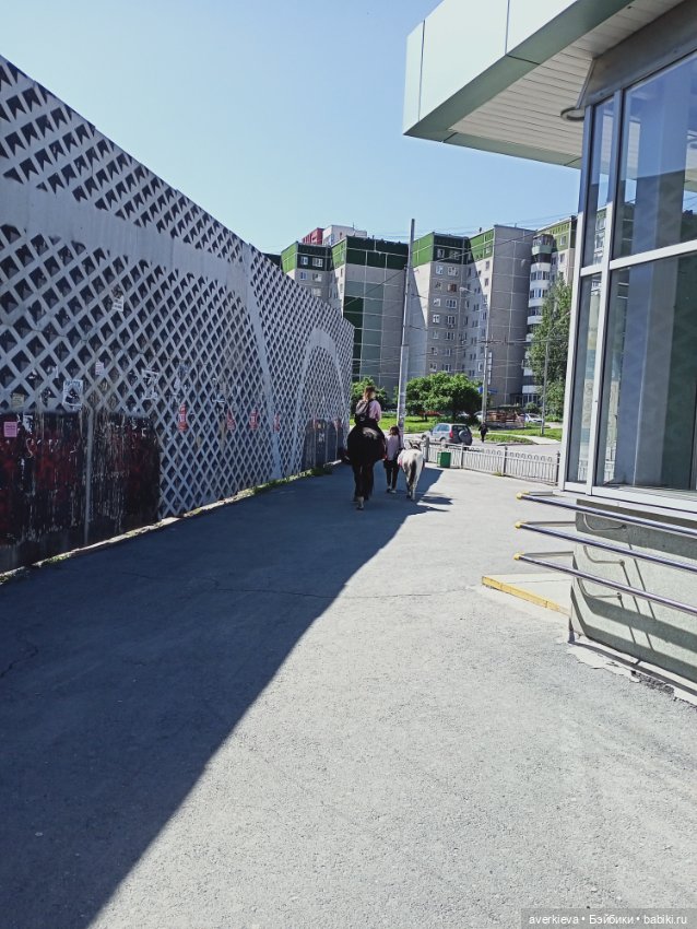 Ирма Брониславовна... Прогулка