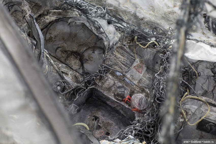 Призрачные скульптуры от канадского автора Янник Делорье (Jannick Deslauriers) (фото 4)