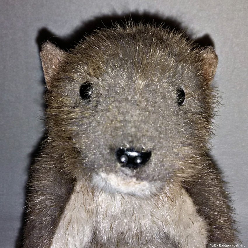 ...Любимый Крыс — Интересные игрушки и фигурки (разное): редкие (фото 5)