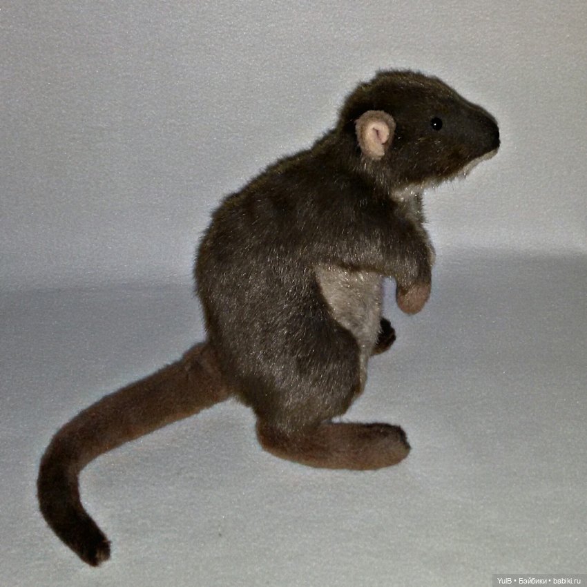 ...Любимый Крыс — Интересные игрушки и фигурки (разное): редкие (фото 2)