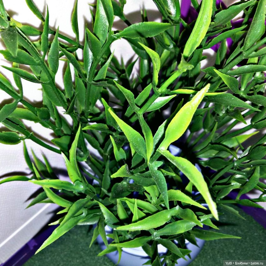 ...Дом, который построила я: Добро пожаловать (фото 8)