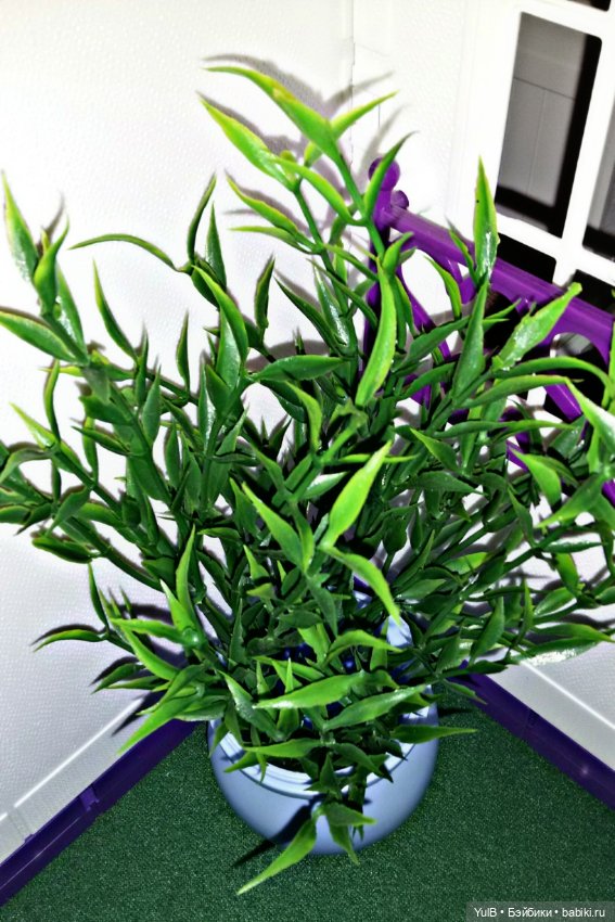 ...Дом, который построила я: Добро пожаловать (фото 7)