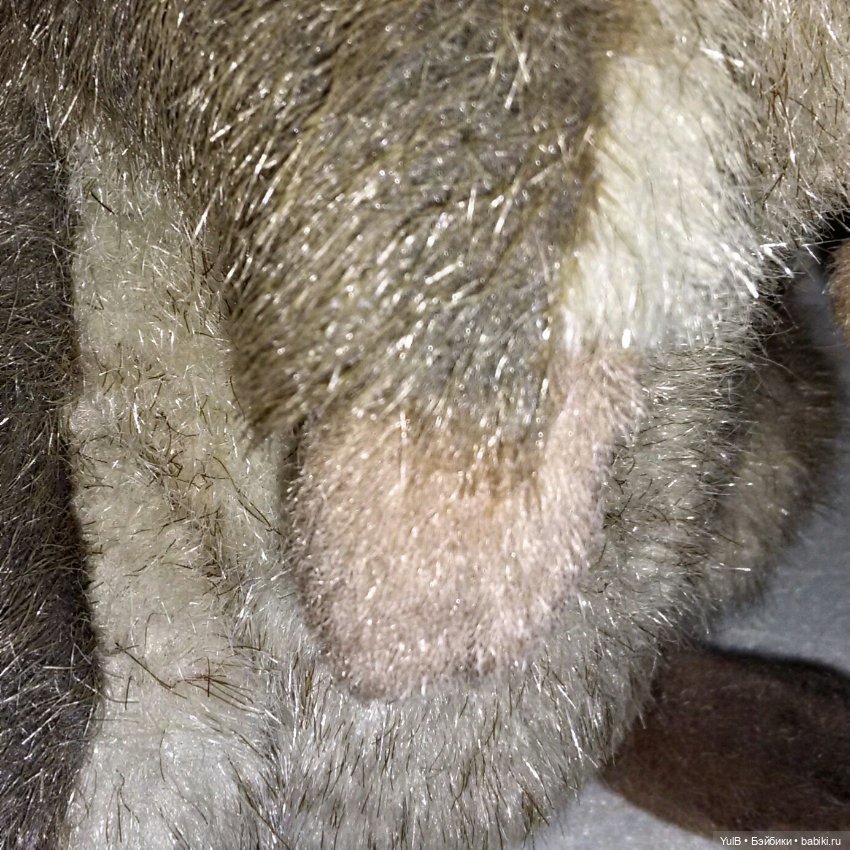 ...Любимый Крыс — Интересные игрушки и фигурки (разное): редкие (фото 6)