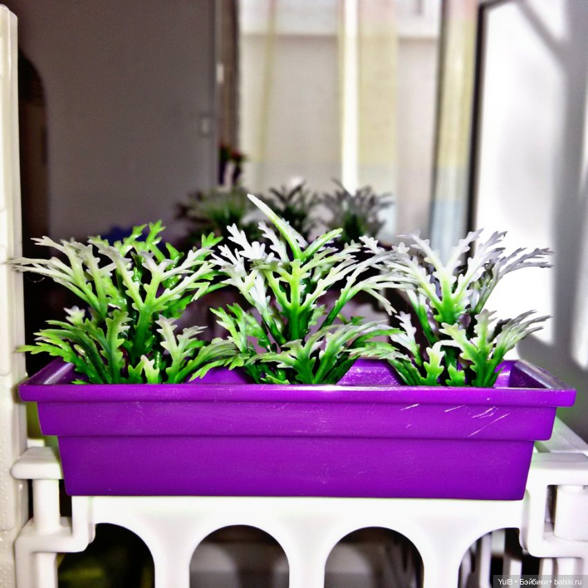 ...Дом, который построила я: Добро пожаловать