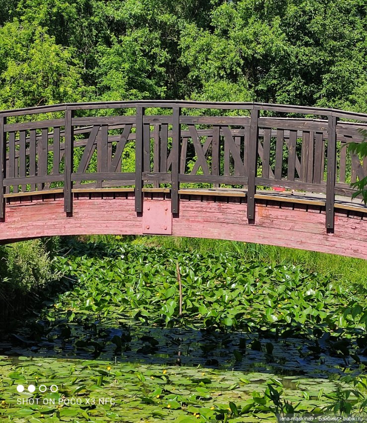 Куколки Келли, парк, природа