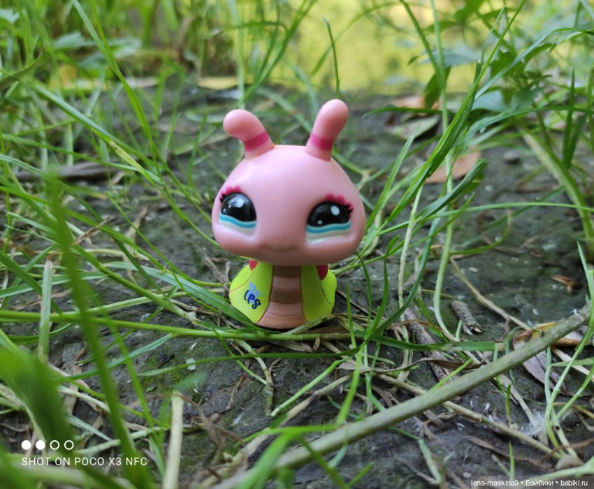 Куколки Келли, парк, природа (фото 3)